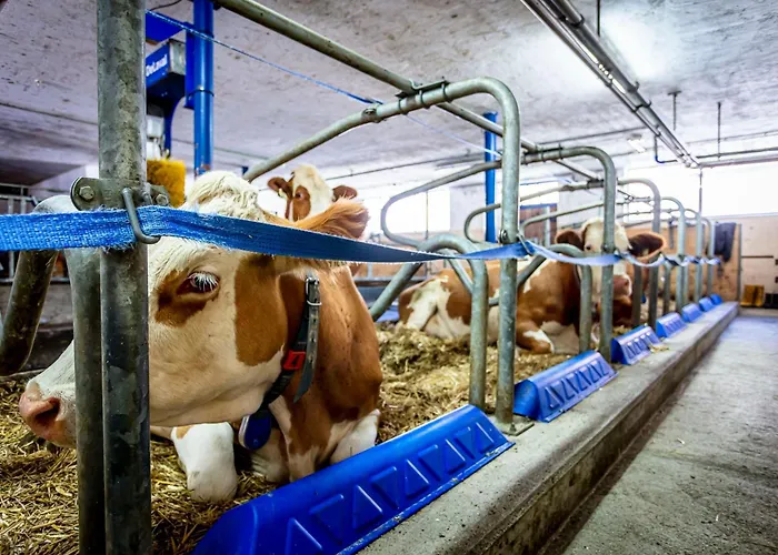 Ferienwohnungen Am Biobauernhof Lahner